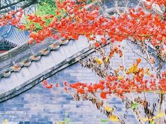 -秦岭终南山世界地质公园翠华山景区