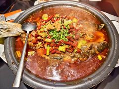 -探鱼·鲜青椒爽麻烤鱼(番禺万达店)