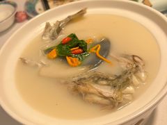 东坡河豚-肆月河豚·新淮扬(金融街店)
