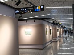 -石家庄正定国际机场-T2航站楼