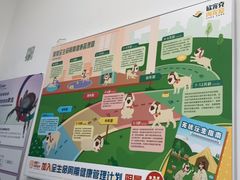 -派美特宠物医院·核磁CT·骨科肿瘤·疑难转诊(沈农禾丰店)