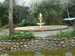 -广东茂名森林公园