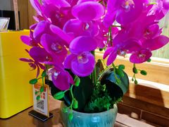 -小吊梨汤·北京菜·烤鸭(双井乐成中心店)