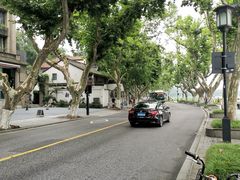 -杭州西湖风景名胜区-北街寻梦