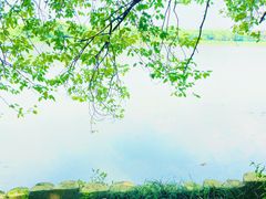 -东湖落雁景区