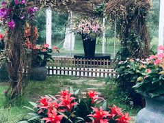 -上海鲜花港