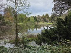 -墨尔本皇家植物园