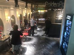 点击看大图 -金棕榈