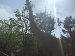 -西安秦岭野生动物园