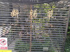 -广州神农草堂中医药博物馆