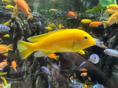 -太平洋海底世界