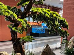 -许爷家·生态湖鲜(徐汇日月光店)