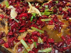 -老板恋上鱼(恒隆广场店)