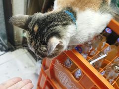 -老丘丘(较场口店)