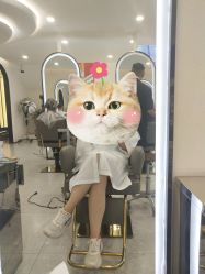点击看大图 -上禾 HAIR SALON