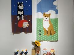 -柴迷FANS CLUB·柴犬狗咖·猫咖