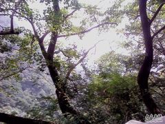 -王顺山国家森林公园