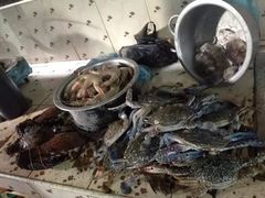 -尼甘布海鲜市场