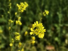 -上海浦东新区乐乡公墓