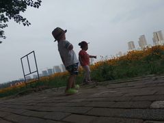 -丁香湖公园