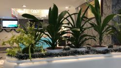 -深圳春天阳光医院·轮廓抗衰中心