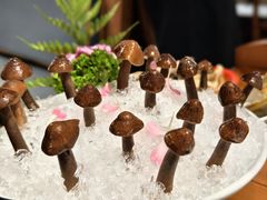 -禄婶鸡煲·打边炉