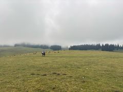 -新疆那拉提国家旅游度假区
