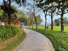 -天津湾西餐厅(三亚海棠湾洲际度假酒店)