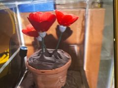 -Xcape异时刻密室逃脱魔法互动(瑞虹天地太阳宫店)