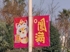 -雄孩子机器人少儿编程STEM教育(迪诺水镇校区)