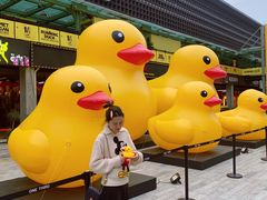 -新天地活力PARK