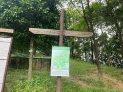 -阳台山森林公园