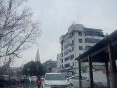 -龙游祖传豆腐丸