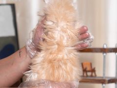 -小猫来了·猫舍(红山六九七九店)