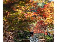 -广州市帽峰山景区