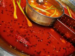 鱼火锅-味当家鱼头火锅.•甲鱼料理(金沙店)