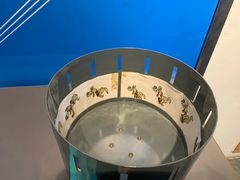 -陕西自然博物馆