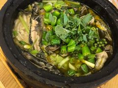 黄辣丁-陈麻婆豆腐总店
