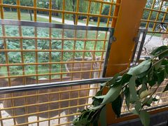 -上海野生动物园