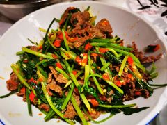 香菜炒牛肉-壹盏灯(惠农店)