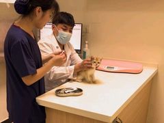 -全心全意连锁动物医院·微创中心·内科急重症·心脏专科(丰管路店)