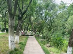 -洋湖国家湿地公园