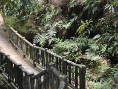 -沐川竹海旅游景区