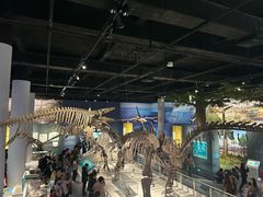 -国家自然博物馆