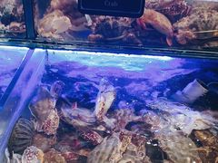 -诱货海鲜自助火锅(爱琴海购物公园东百店)