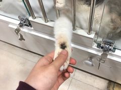 -1013 PET SHOP 宠物商店(近铁城市广场店)