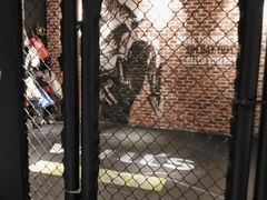 -威尔仕健身·游泳(KING88店)
