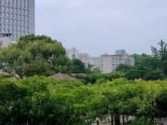 -嘉定紫藤园