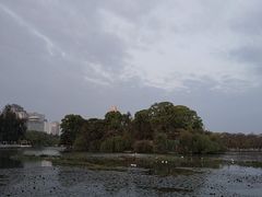 -翠湖公园
