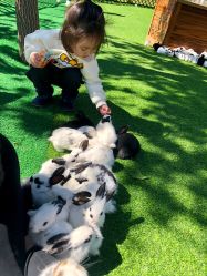 -萌宠亲子动物乐园(槐房万达店)